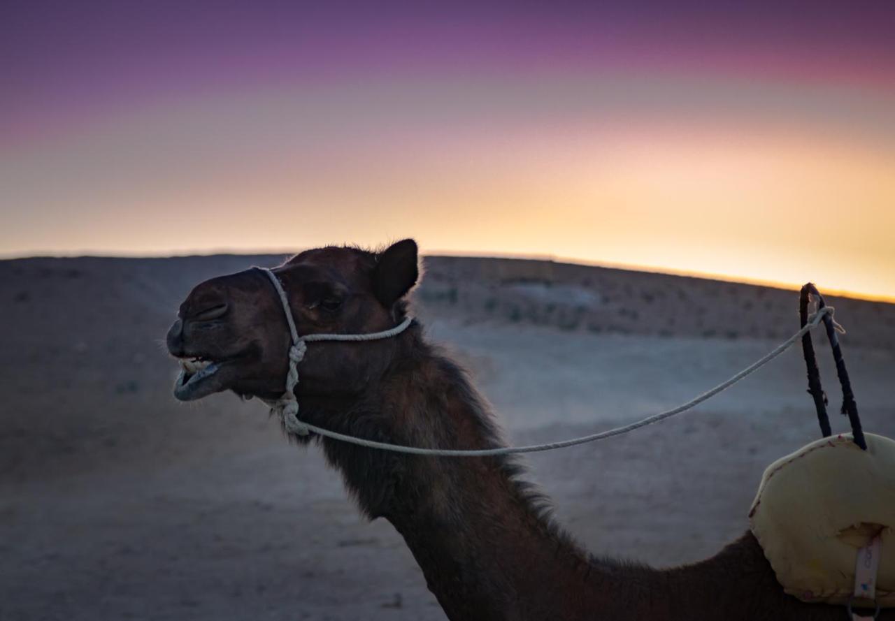 Отель Camp Cameleon Марракеш Экстерьер фото